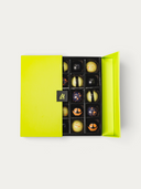 Norman Love Confections 25 piece Halloween chocolate gift box with assorted decorated gourmet truffles in lime box