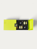 Norman Love Confections 10 piece Halloween chocolate gift box in a bright lime green box on a white background.